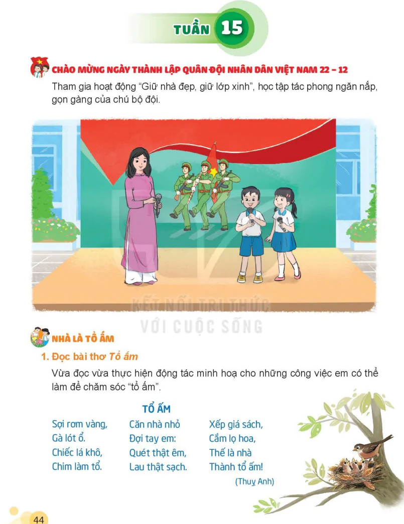 Tuần 15