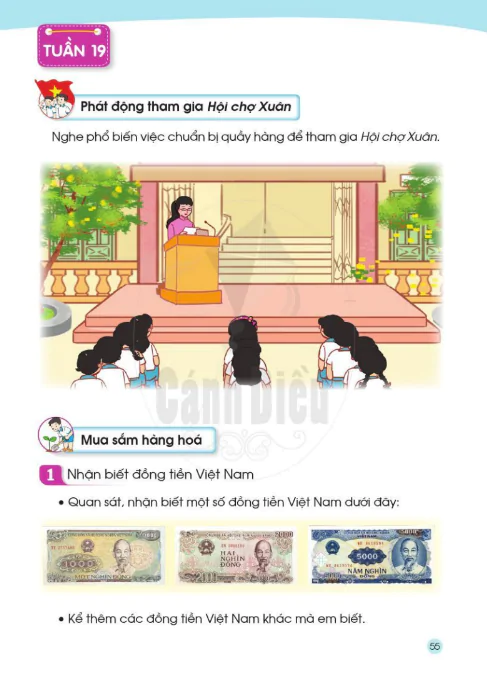 Tuần 19