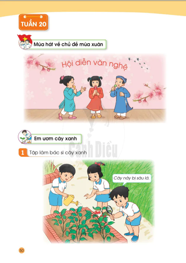TUẦN 20: EM ƯƠM CÂY XANH