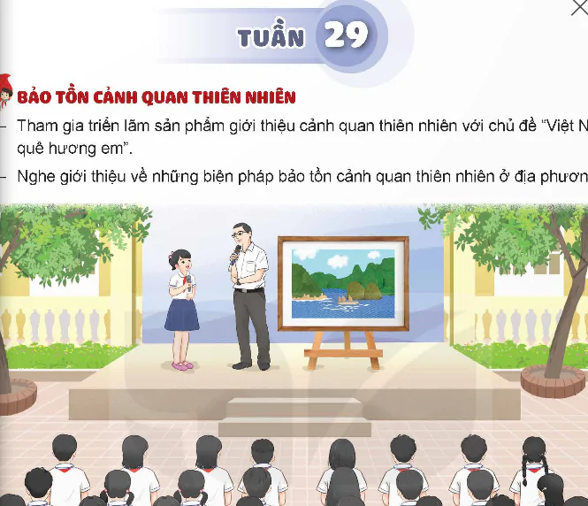 Tuần 29