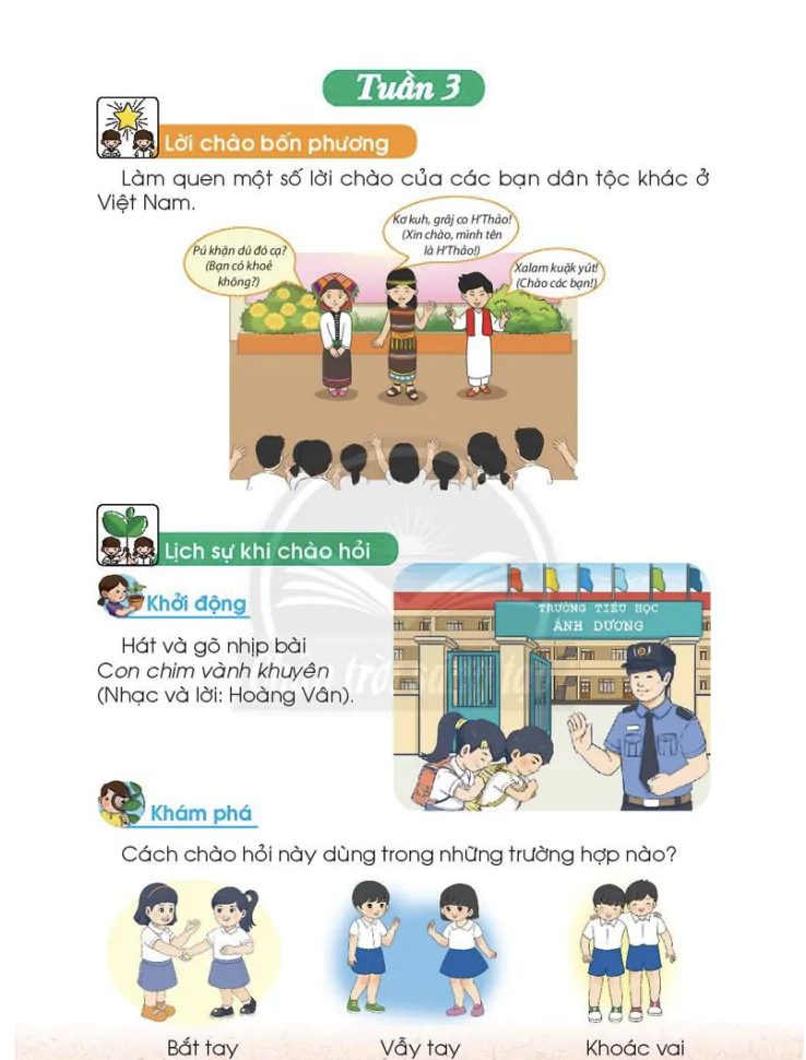 Tuần 3
