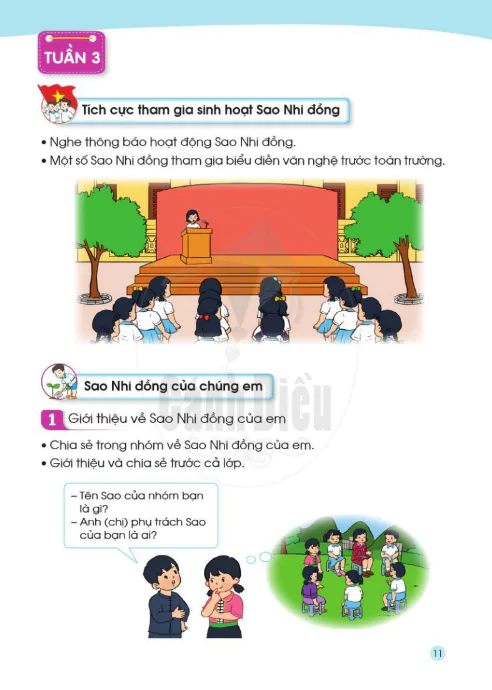 Tuần 3