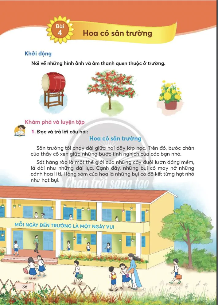 Tuần 4: Hoa cỏ sân trường