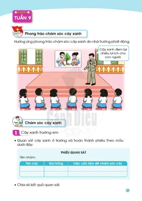 Tuần 9 