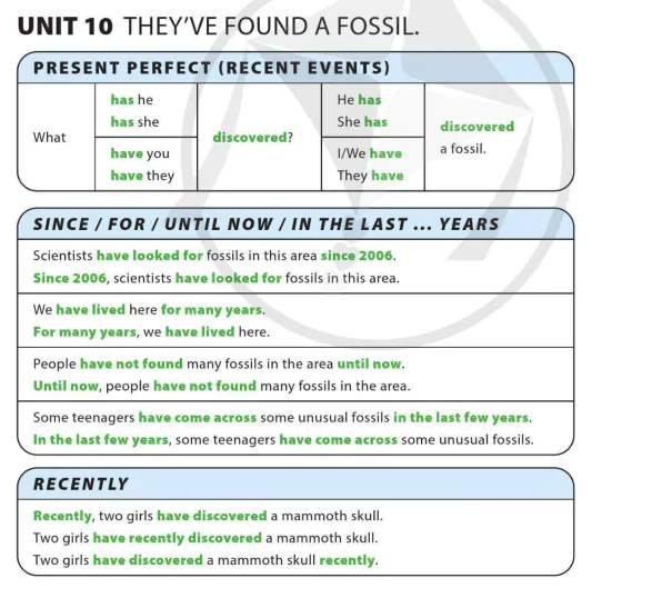 Unit 10: They've found a fossil.