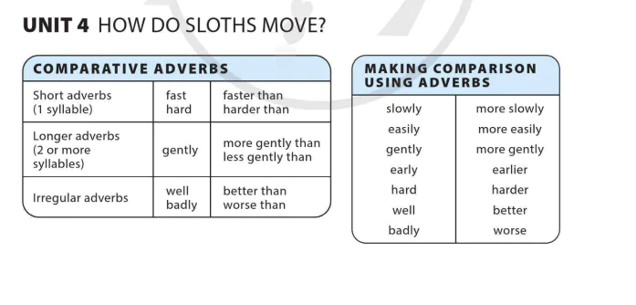 Unit 4: How do sloths move?