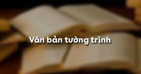 VĂN BẢN TƯỜNG TRÌNH