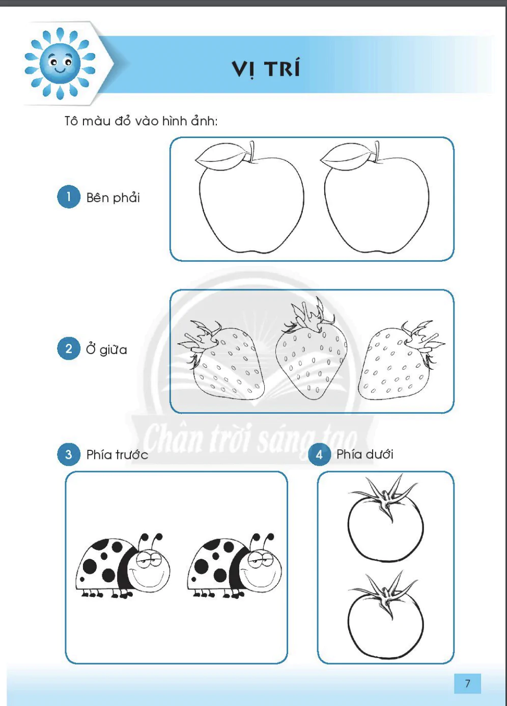 Vị trí