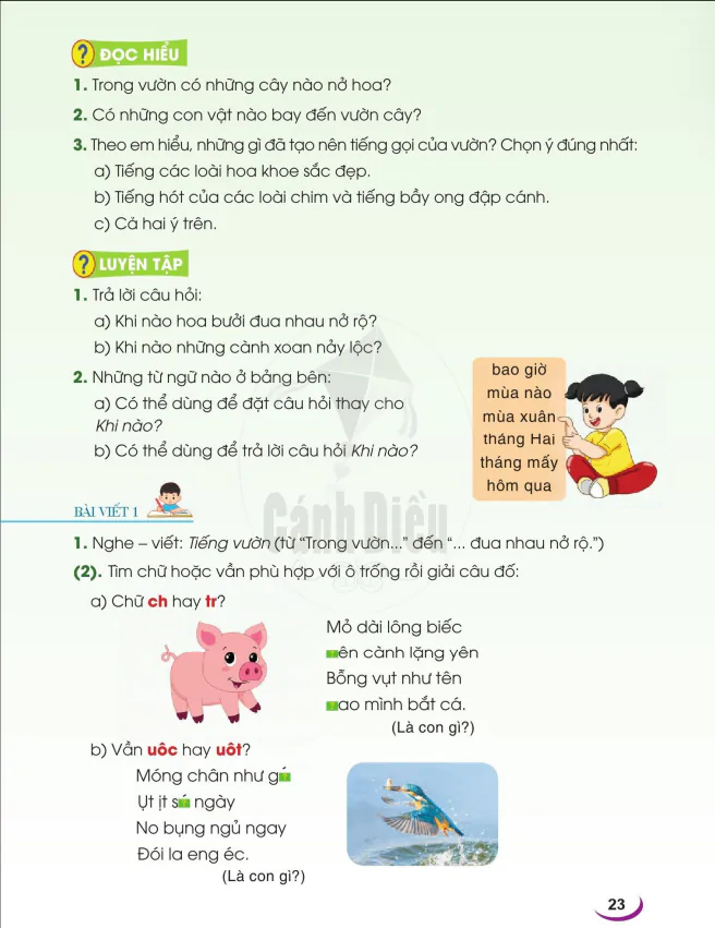 VIẾT