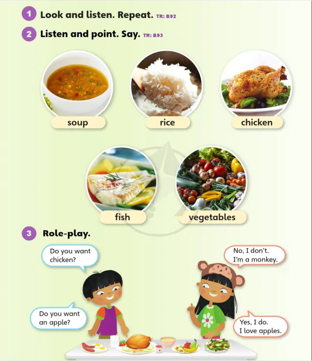 Vocabulary 1B