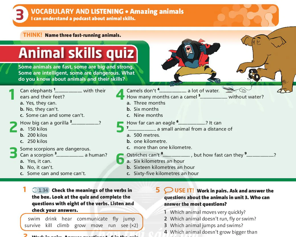 Vocabulary and listening: Amazing animals