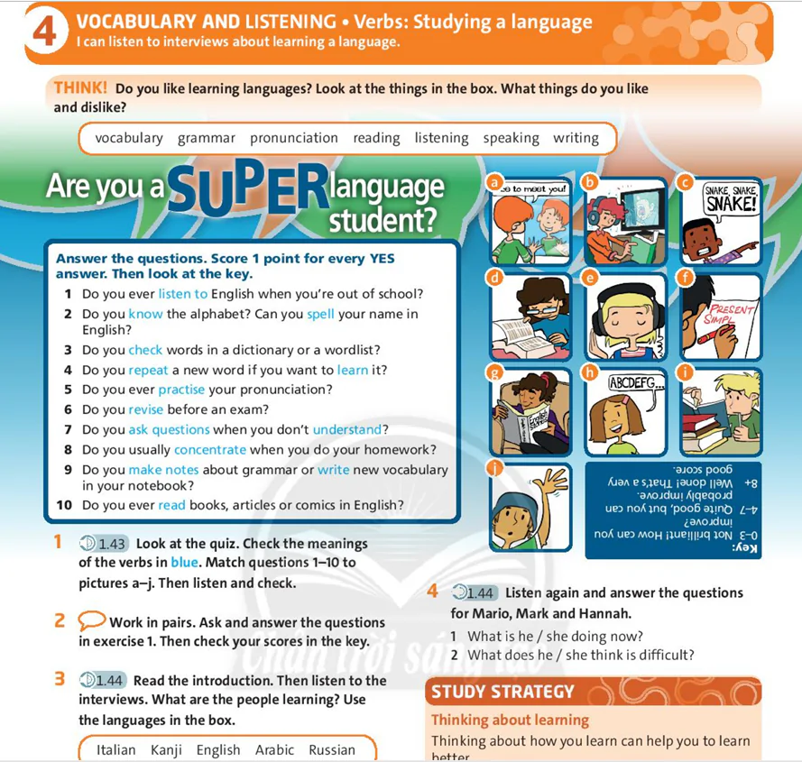 Vocabulary and listening: Verbs: Studying a language
