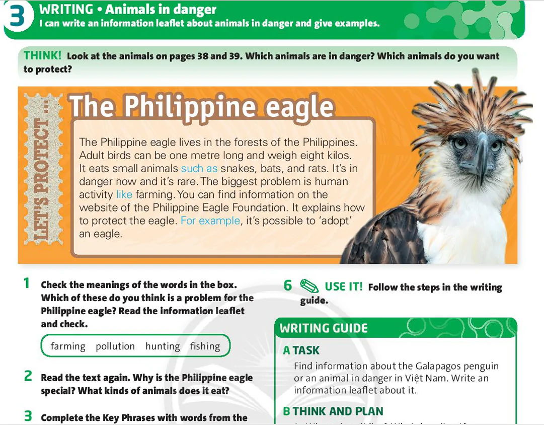 Writing: Animals in danger
