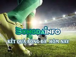 hinh-anh-trang-cap-nhat-du-lieu-bong-da-truc-tuyen-hang-dau-viet-nam-goi-ten-bongdalu-118-0