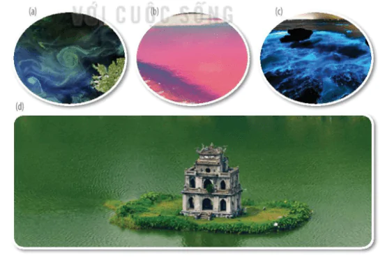 hinh-anh-bai-20-su-da-dang-va-phuong-phap-nghien-cuu-vi-sinh-vat-3735-0