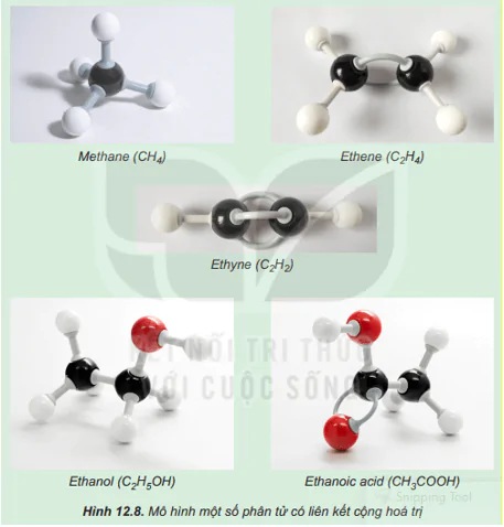 hinh-anh-bai-12-lien-ket-cong-hoa-tri-3759-0