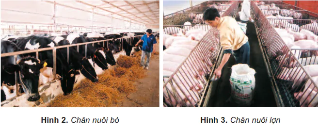 hinh-anh-bai-10-nong-nghiep-438-1