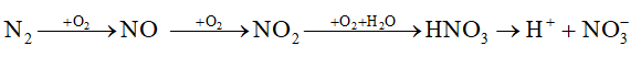 hinh-anh-bai-4-nitrogen-3677-9