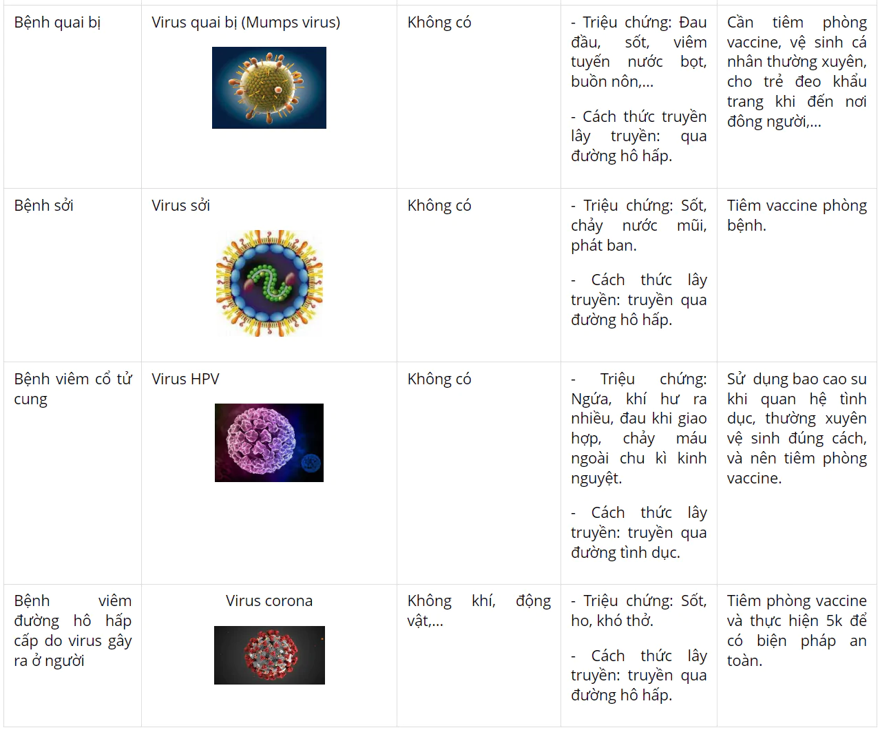 hinh-anh-bai-26-thuc-hanh-dieu-tra-mot-so-benh-do-virus-va-tuyen-truyen-phong-chong-benh-3741-2