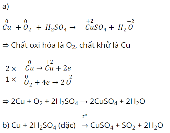 hinh-anh-bai-16-on-tap-chuong-4-3765-9