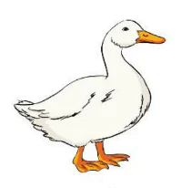 hinh-anh-bai-2-et-et-it-459-6