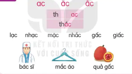 hinh-anh-bai-46-ac-ac-ac-146-1