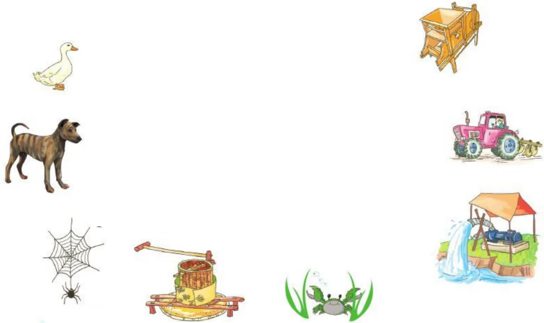 hinh-anh-tap-doc-3-1331-0