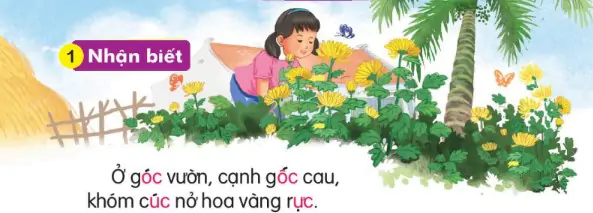 hinh-anh-bai-47-oc-oc-uc-uc-147-0