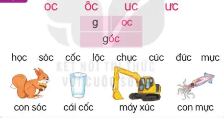 hinh-anh-bai-47-oc-oc-uc-uc-147-1