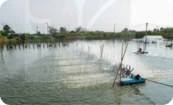 hinh-anh-bai-10-gioi-thieu-ve-moi-truong-nuoi-thuy-san-12228-0