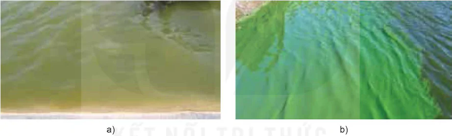 hinh-anh-bai-10-gioi-thieu-ve-moi-truong-nuoi-thuy-san-12228-2
