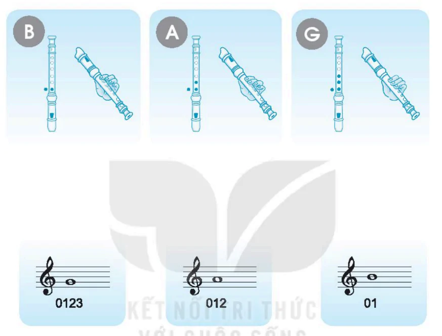hinh-anh-chu-de-2-cuoc-song-tuoi-dep-62-3