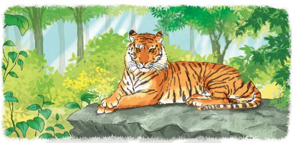 hinh-anh-bai-3-chua-te-rung-xanh-280-0