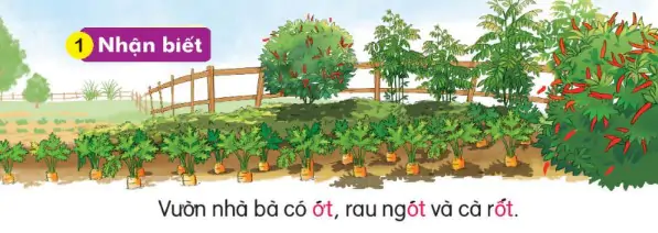 hinh-anh-bai-49-ot-ot-ot-149-0
