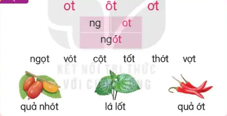 hinh-anh-bai-49-ot-ot-ot-149-1