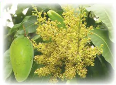 hinh-anh-bai-3-oai-oay-oac-764-5