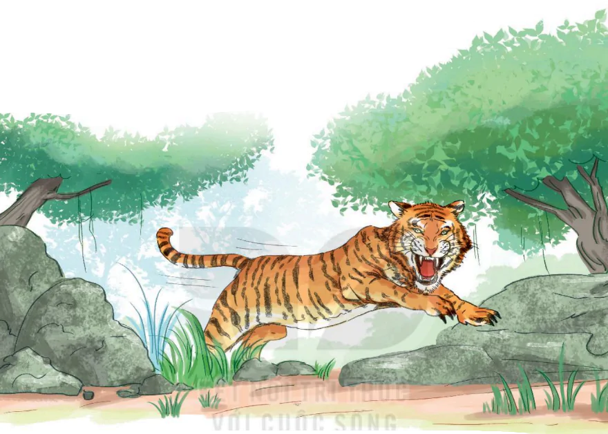 hinh-anh-bai-3-chua-te-rung-xanh-280-1