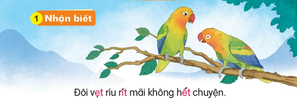 hinh-anh-bai-51-et-et-it-151-0