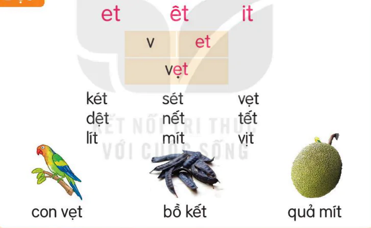 hinh-anh-bai-51-et-et-it-151-1