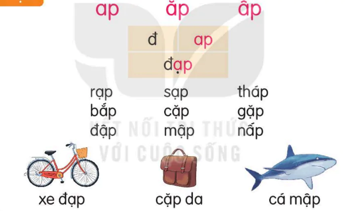 hinh-anh-bai-53-ap-ap-ap-153-1