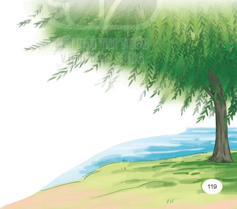hinh-anh-bai-5-cay-lieu-deo-dai-298-1