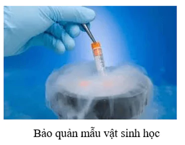 hinh-anh-bai-4-nitrogen-3677-11