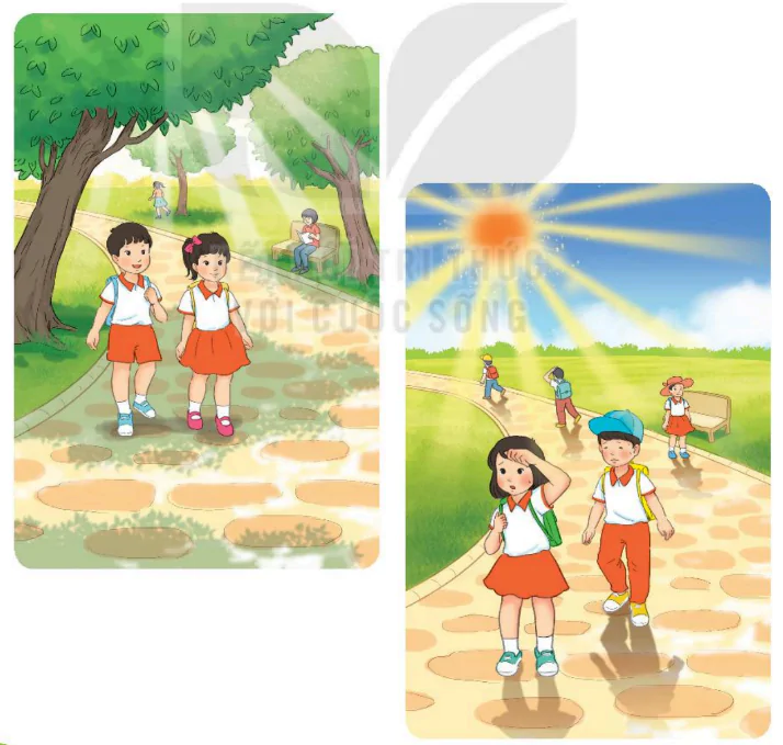 hinh-anh-bai-5-cay-lieu-deo-dai-298-2