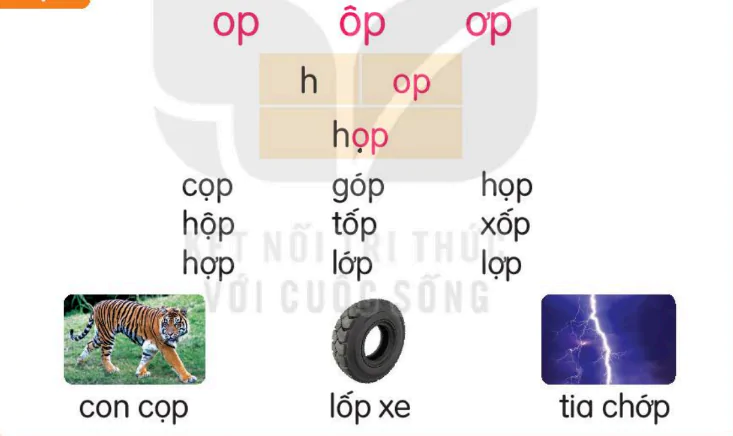 hinh-anh-bai-54-op-op-op-154-1
