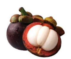 hinh-anh-bai-1-ang-ang-ang-474-6
