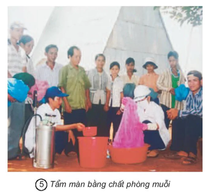 hinh-anh-bai-12-phong-benh-sot-ret-1408-2