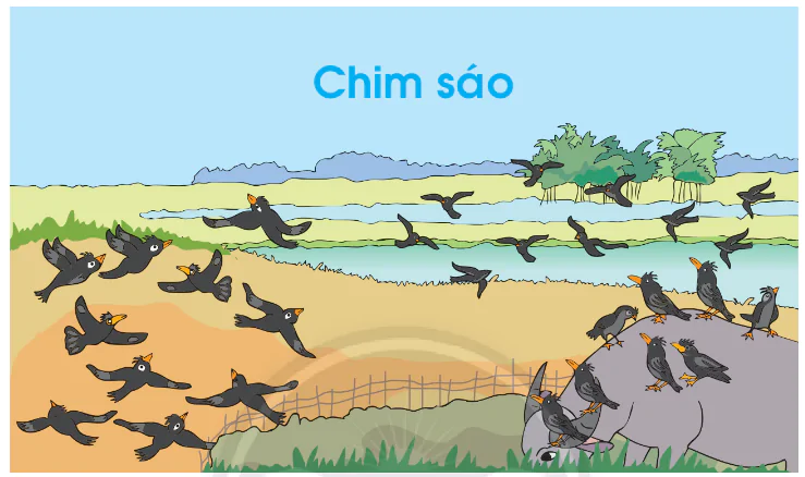 hinh-anh-em-lam-duoc-nhung-gi-752-0