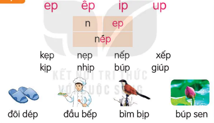 hinh-anh-bai-56-ep-ep-ip-up-156-1