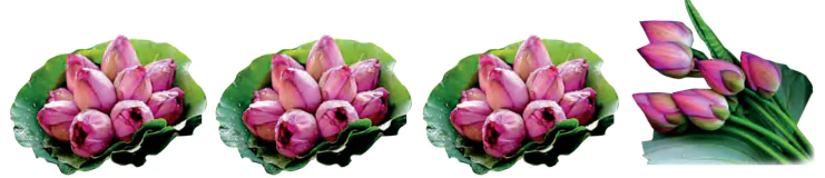 hinh-anh-em-lam-duoc-nhung-gi-752-8