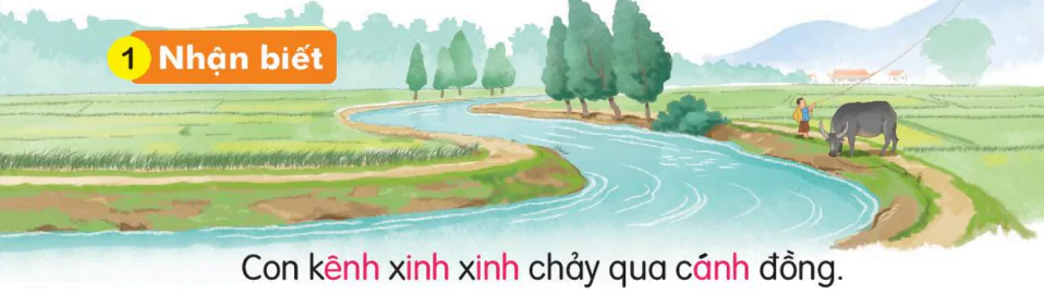 hinh-anh-bai-57-anh-enh-inh-157-0